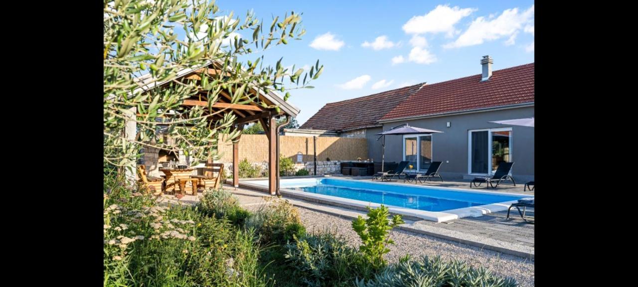 Villa Olive Tree House With Jacuzzi, Wifi And 40M2 Pool Siritovci Esterno foto