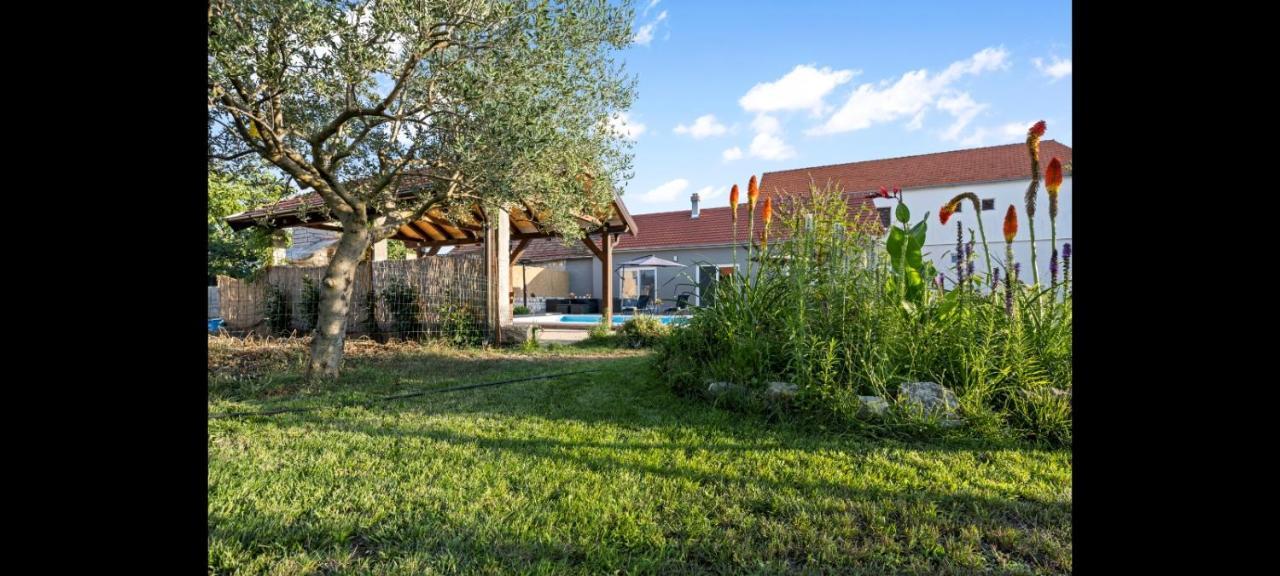 Villa Olive Tree House With Jacuzzi, Wifi And 40M2 Pool Siritovci Esterno foto